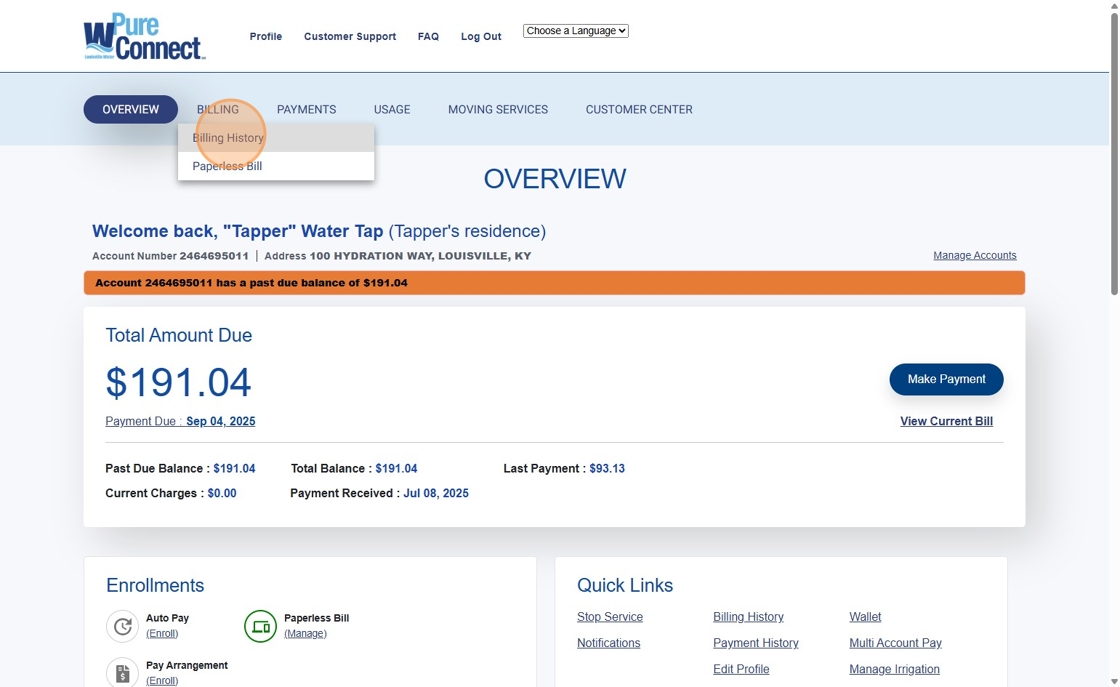 Export Billing History From Account Overview - Step 1.png