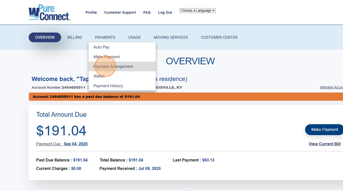 Set Up a Payment Arrangement - Step 1.png