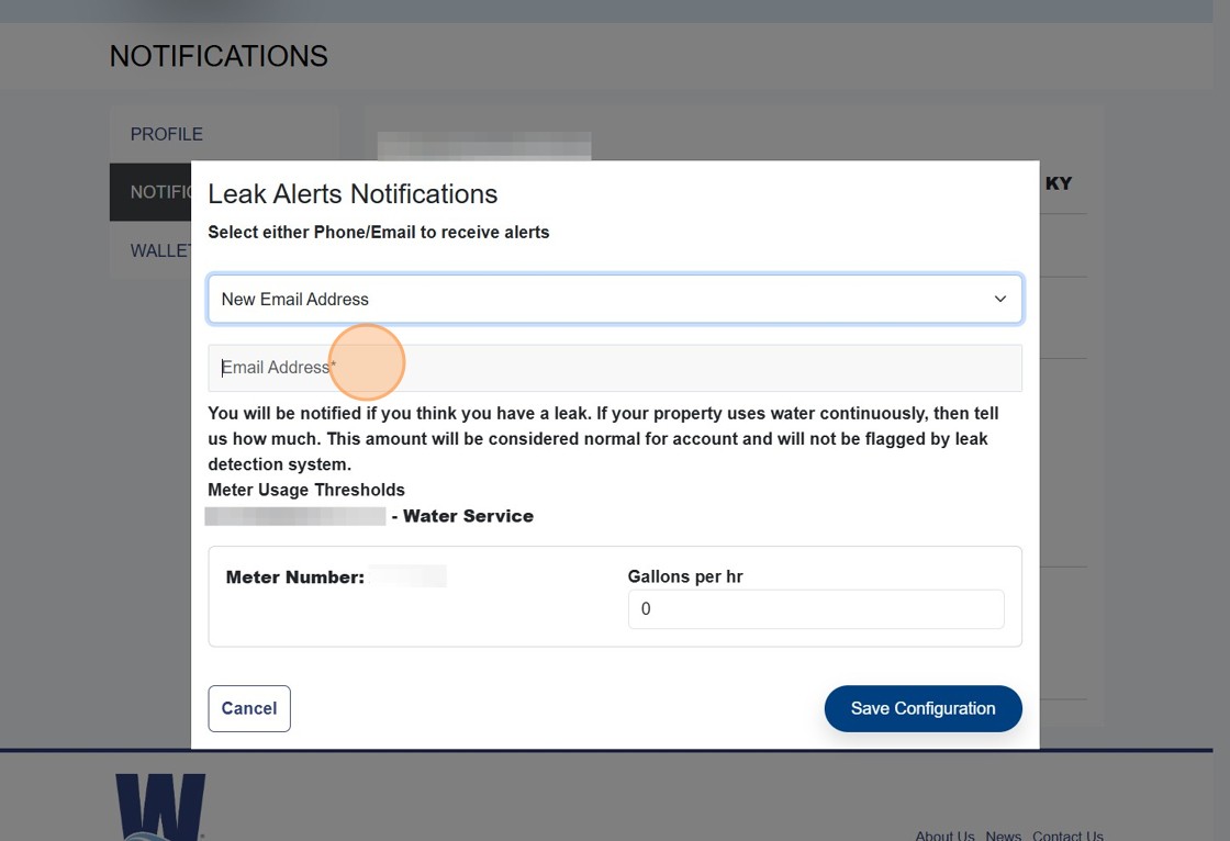 Type Email - Leak Alerts.jpeg