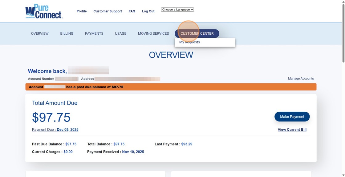 Create a Leak Adjustment Request - Step 1.jpg